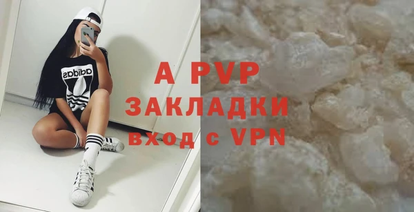 сатива Богданович