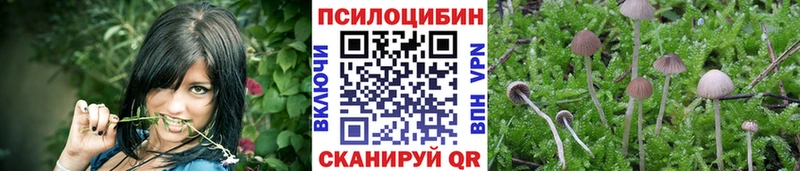 Купить закладки  Слюдянка  Псилоцибиновые грибы мухоморы 
